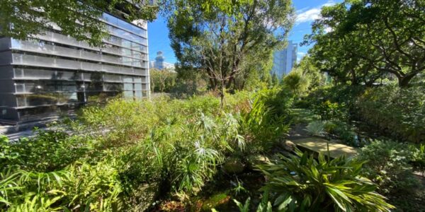 漫步於午後花園