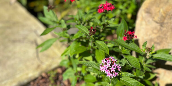 花團錦簇 相約在展業綻放